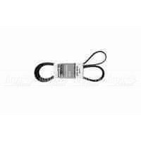 Pubert 0306030002 Ремень привода для ECO, ELITE, PRIMO (с реверсом) 5718 в Курске