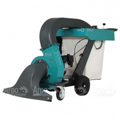 Садовый пылесос Remarc LS XP 5.0 G в Курске