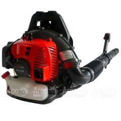 Воздуходувка бензиновая EVOline BLG 42 BP в Курске