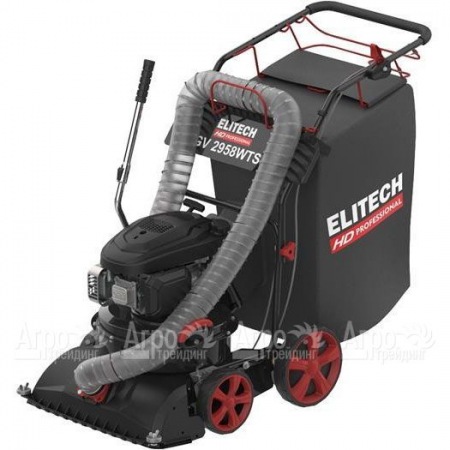Пылесос садовый бензиновый Elitech HD GV 2958WTS (E1608.008.00) в Курске