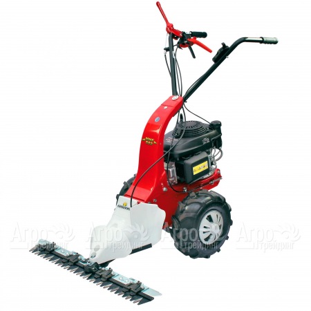 Бензиновая сенокосилка Eurosystems Minieffe 502 RM B&#38;S 625EXi в Курске