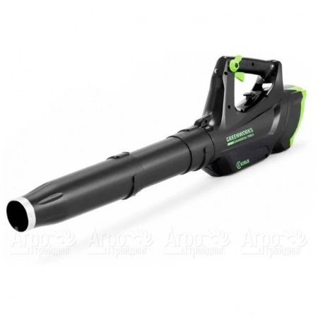 Воздуходувка аккумуляторная GreenWorks GC82BLK5  в Курске