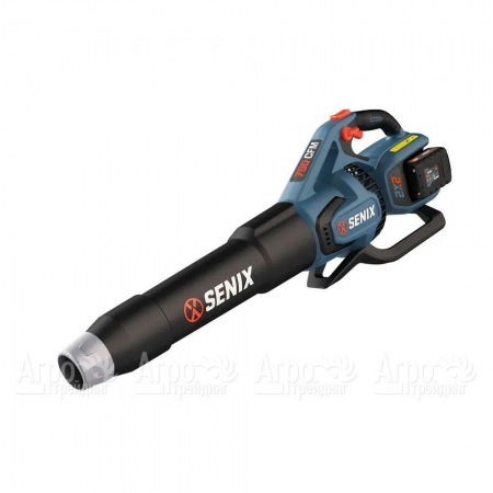 Воздуходувка аккумуляторная Senix BLAX2-M2-EU в Курске