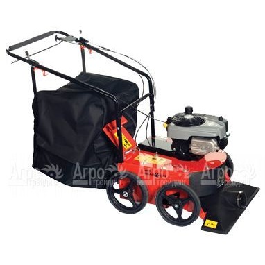 Садовый пылесос Echo Bear Cat WV190 в Курске