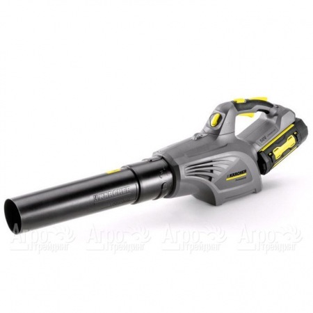 Воздуходувка аккумуляторная Karcher LB 850 Bp в Курске