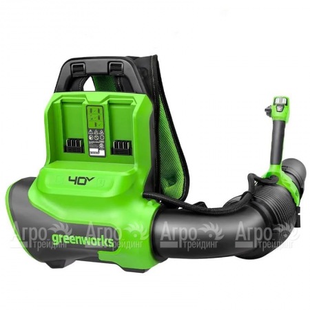 Воздуходувка аккумуляторная GreenWorks GD40BPG2  в Курске