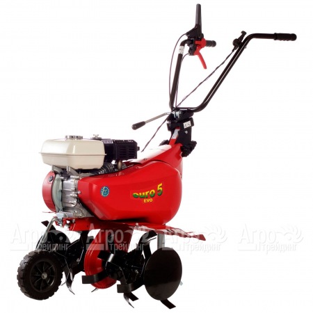 Культиватор Eurosystems Euro-5 EVO RM S/R Honda GX160 в Курске