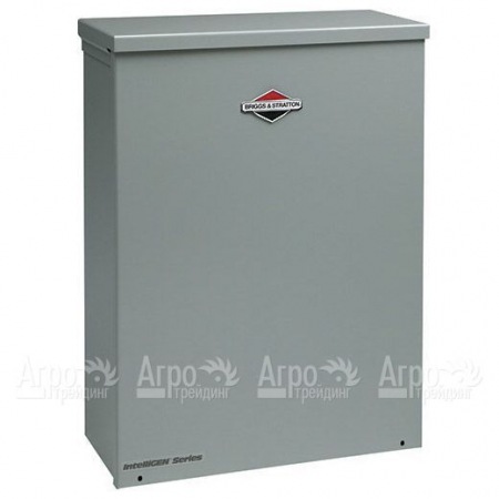 Блок автоматики Briggs&#38;Stratton 100A в Курске