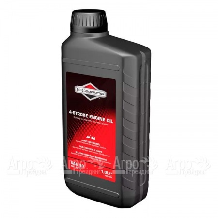 Масло Briggs&#38;Stratton SAE-30 1 л для 4-х тактных двигателей в Курске