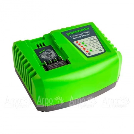 Быстрое зарядное устройство Greenworks G40UC4  в Курске