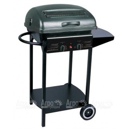 Гриль-барбекю газовый Green Glade RH-2210A в Курске