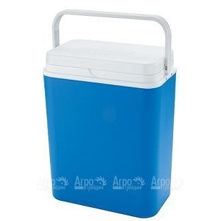 Контейнер изотермический Cool Box Passive 24 л в Курске