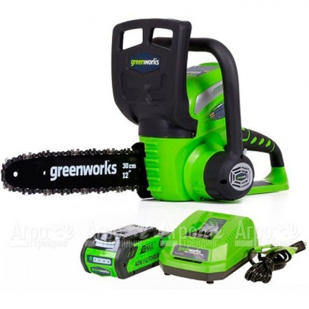 Аккумуляторная пила GreenWorks G40CS30II-12" 2 Ач в Курске