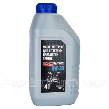 Масло моторное EVOline SAE 5W-30 API SN/CF 1 л для 4-х тактных двигателей в Курске