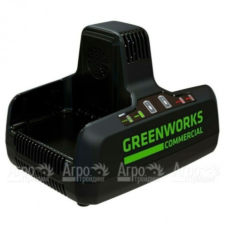 Быстрое зарядное устройство GreenWorks G82C2  в Курске