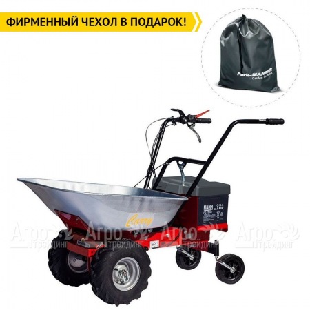 Самоходная тележка Eurosystems Carry Electric 300W-24V в Курске