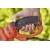 Электрический кусторез (электрокусторез) Black+Decker BEHTS551 в Курске