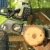 Аккумуляторная пила GreenWorks G-Max GD40CS40 40V-16 (без аккумулятора и зарядного устройства) в Курске