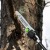 Высоторез аккумуляторный GreenWorks PS102T (без аккумулятора и зарядного устройства) в Курске