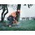 Бензопила Husqvarna 565-18" в Курске