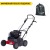 Скарификатор Eurosystems SC42B c двигателем Briggs&amp;Stratton 450 series в Курске