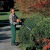 Бензиновый кусторез Stihl HS 45 в Курске