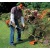 Бензокоса (бензиновый триммер) Stihl FS 38 в Курске