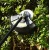 Аккумуляторный триммер DEKO DKTR40V PRO в Курске