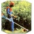 Бензокоса (бензиновый триммер) Stihl FS 55 Autocut в Курске