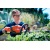 Аккумуляторные ножницы Husqvarna 115iHD45 в Курске