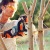 Аккумуляторная пила Stihl MSA 120 C-BQ-12 в Курске