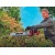 Аккумуляторный кусторез Einhell PXC GE-CH 36/62 Li-Solo (без аккумулятора и зарядного устройства) в Курске