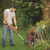 Аккумуляторный триммер Black+Decker ST1823 (2 аккумулятора) в Курске