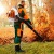 Воздуходувка бензиновая Stihl BR 700 в Курске