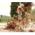 Воздуходувка бензиновая Stihl BG 56 в Курске