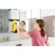 Стеклоочиститель Karcher WV 5 Premium в Курске