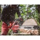Бензопила Shindaiwa 501SX в Курске