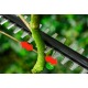Высоторез аккумуляторный Bosch UniversalHedgePole 18 в Курске