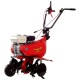 Культиватор Eurosystems Euro-5 EVO RM S/R Honda GX160 в Курске