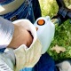 Бензокоса (бензиновый триммер) Stihl FS 45 C-E в Курске