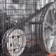 Компрессор поршневой Patriot Remeza СБ 4/С-100 LB 75 в Курске