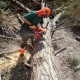 Бензопила Efco MT 6500-18&quot; в Курске