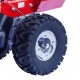 Бензиновая сенокосилка Eurosystems P70 Kohler в Курске