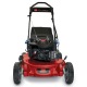 Газонокосилка бензиновая Toro 20092C в Курске