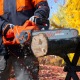 Пила цепная (электропила) Daewoo DACS 2500E-16 в Курске