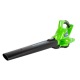 Воздуходувка аккумуляторная GreenWorks GD40BVK3 в Курске