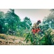 Бензопила Husqvarna 455e Rancher-20X&quot; в Курске