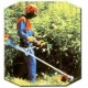 Бензокоса (бензиновый триммер) Stihl FS 38 в Курске