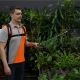 Аккумуляторный опрыскиватель Daewoo DSA 12Li SET в Курске