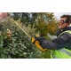 Аккумуляторный кусторез Dewalt DCM563PB (без аккумулятора и зарядного устройства) в Курске